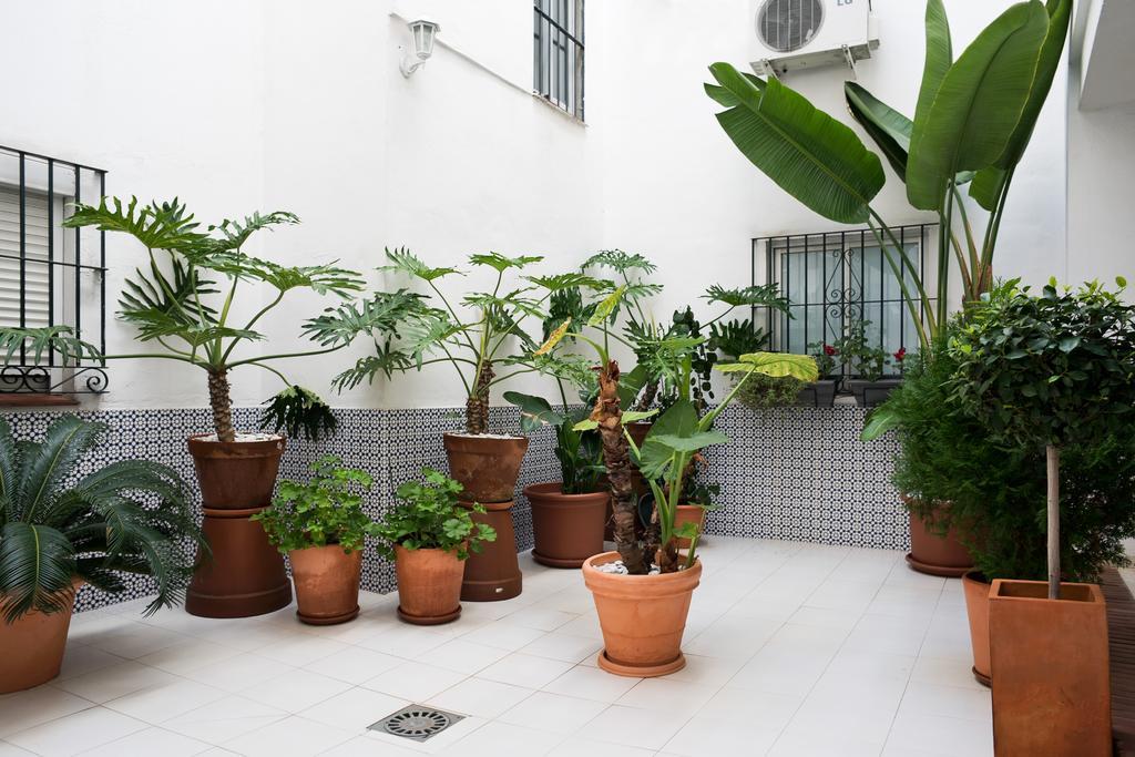 Urbanchicmalaga 3 Bedroom Spacious Quiet Historic Malaga Apt Exterior foto